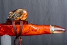 Redwood Hanging Burl Native American Flute, Minor, Mid F#-4, #N34G (11)